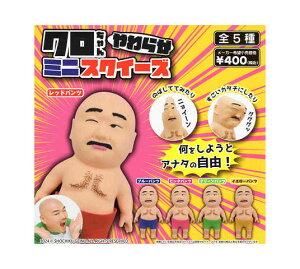 N 炩~jXNC[Y S5Zbg Rv Rv[gZbg