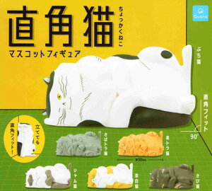 pL }XRbgtBMA S6Zbg Rv Rv[gZbg