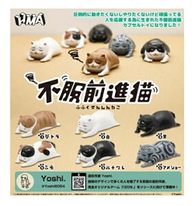 sOiL S6Zbg Rv Rv[gZbg