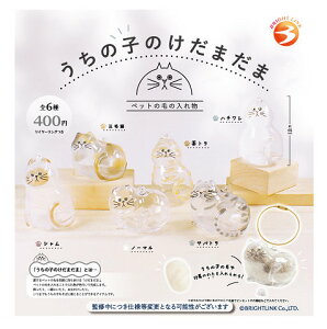 ̎q̂܂ S6Zbg Rv Rv[gZbg