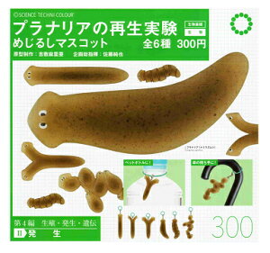 STC viA̍Đ ߂邵}XRbg S6Zbg Rv Rv[gZbg