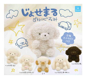 傹܂ ʂ S5Zbg Rv Rv[gZbg