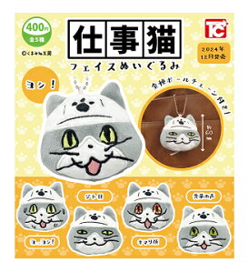 dLtFCXʂ S5Zbg Rv Rv[gZbg