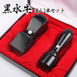 印鑑 黒水牛 法人2本セット ケース付き 会社丸印・角印 印鑑 印鑑登録 証明 会社設立 高級 10年保証 社印 法人用 ハンコ 会社角印 黒水牛 天丸印鑑+角印+高級印鑑ケース付き 宅配便 送料無料
