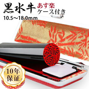 yyz  쐬 14܂ł̒͑   j    s P[Xt F q 킢 q l [ j v[g Mtg w AE 