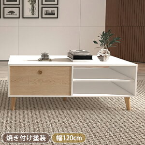 y8OFFN[|zzzZ^[e[u  [ [e[u  k ot I e[u ` 120×60×46cm rOe[u [te[u JtFe[u VR؋r X