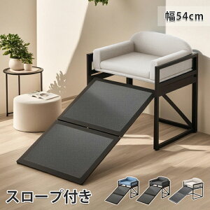 ybgxbh ybg\t@[ X[vt Lxbh xbh ֎q \t@[xbh ^ 􂦂 킢  ֎q^ 54cm Č  ~  ʔN 萫