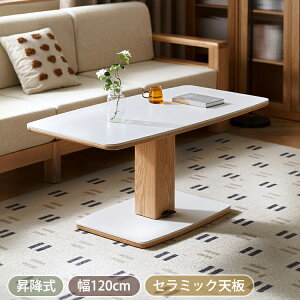 ~e[u 120cm Z^[e[u ~  tgAbve[u _CjOe[u ~fXN rOe[u [e[u Z~bN e[u ȃXy[X e[N 