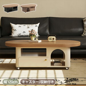 Z^[e[u [ [e[u LX^[t rOe[u o 120cm   \t@e[u TChe[u \t@TCh x[W ؖڒ JtFe[u Ƒ u