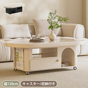 y8OFFN[|zzTzZ^[e[u [ rOe[u LX^[t [e[u o [I \t@e[u ؍ x[W  120cm  TChe[u