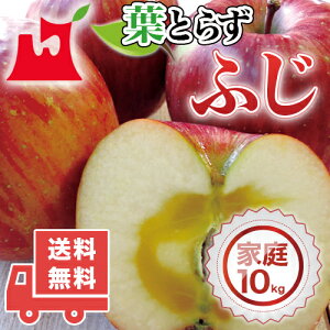 XY tƂ炸ӂ ƒp 5kg 10kg 15kg lC̖󂠂胊S XY 󂠂 Tӂ  S ь tƂ炸 ӂ X