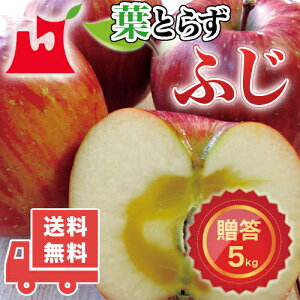 XY tƂ炸ӂ p 3kg 5kg 10kg v~ASMtgɍœK XY Tӂ  S ь ӂ tƂ炸 tƂ炸 ӂ X