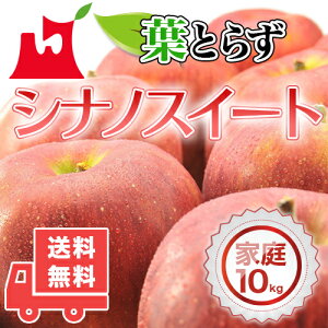 XY tƂ炸VimXC[g ƒp 5kg 10kg lC̖󂠂胊S S  ь X tƂ炸 VimXC[g ʕ  t[c 󂠂
