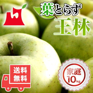 XY tƂ炸 ƒp 5kg 10kg 󂠂  tƂ炸  S ь  󂠂 lC̖󂠂胊S Yn