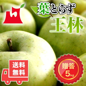 XY tƂ炸 p 5kg 10kg MtgɍœK  S ь ʕ  t[c X tƂ炸 Yn  p Mtg