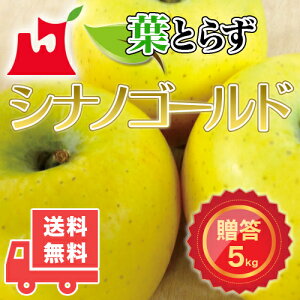 XY tƂ炸 VimS[h p 3kg 5kg Mtg 蕨 v~ASMtgɍœK XY  ь S X 
