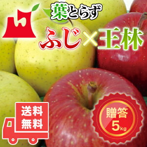 XY tƂ炸 ӂEуZbg p 3kg 5kg 10kg v~AS MtgɍœK XY Tӂ  S ь tƂ炸 