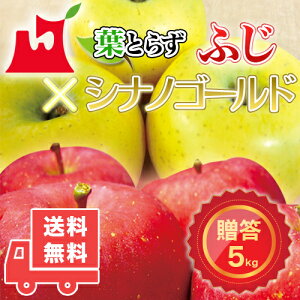 XY tƂ炸 ӂEVimS[hZbg p 3kg 5kg 10kg Mtg 蕨 tƂ炸 ӂ VimS[h v~ASMtgɍœK XY  ь S 