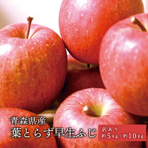 XY tƂ炸 ӂ ƒp 5kg 10kg lC̖󂠂胊S XY 󂠂 Tӂ  ь S tƂ炸  ʕ t[c  ӂ