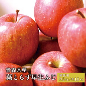 XY tƂ炸 ӂ p 5kg 10kg v~AS MtgɍœK XY Tӂ  ь ь  tƂ炸 ʕ  t[c