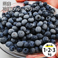 【抽選で100%ポイントバック】国産 冷凍 ブルーベリー 約1kg～約3kg 国産 ブルーベリー フルーツ 果物 く…