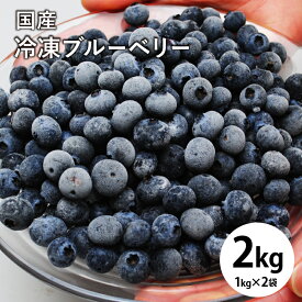 【抽選で100%ポイントバック】国産 冷凍 ブルーベリー 約1kg×2袋 合計 約2kg 国産 ブルーベリー フルーツ 果物 くだもの 急速冷凍 スムージー ヨーグルト トッピング 朝食