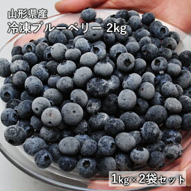 送料無料 山形県産 冷凍 ブルーベリー 約1kg×2袋 合計 約2kg 国産 ブルーベリー フルーツ