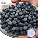 国産 冷凍 ブルーベリー 約1kg～約3kg 国産 ブルーベリー フルーツ 果物 くだもの 冷凍 急速冷凍 国産 山形県 山形