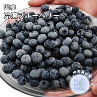国産 冷凍 ブルーベリー 約1kg～約3kg 国産 ブルーベリー フルーツ 果物 くだもの 冷凍 急速冷凍 国産 山…