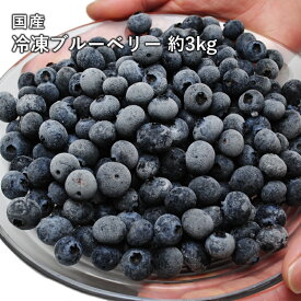 国産 冷凍 ブルーベリー 約1kg×3袋 合計 約3kg 国産 ブルーベリー フルーツ 果物 冷凍 食品 くだもの 急速冷凍 国産 山形県 山形