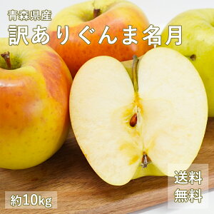  XY 󂠂 ܖ ƒp 5kg 10kg lC̖󂠂胊S ƒp X XY 󂠂 Qn  ь ks