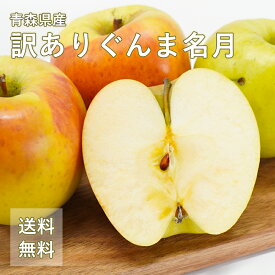 送料無料 青森県産 訳あり ぐんま名月 ご家庭用 約3kg 約5kg 約10kg 人気の訳ありリンゴ 家庭用 青森 青森産 訳あり 群馬名月 りんご 林檎 ks