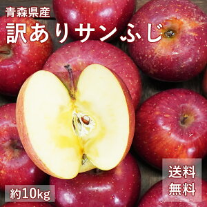  XY 󂠂 Tӂ ƒp 3kg 5kg 10kg lC̖󂠂胊S ƒp X XY 󂠂 Tӂ  ь ӂ ks