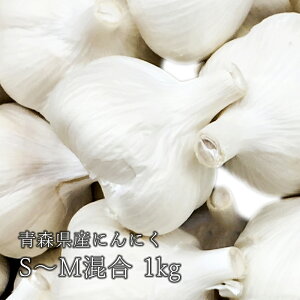 Ȗ󂠂iI XY Iɂɂ iS`Mj 1L TCYsI ڂ͖󂠂ł͈ꋉi!! XY ɂɂ wXYzCg6Ў픒ʉx X ɂɂ Y