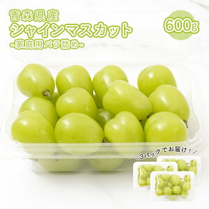 y10{蔭zXY ƒp 󂠂 VC}XJbg 600g ol  ʕ  t[c  uhE Ԃǂ 킯 P Ȃ }XJbg
