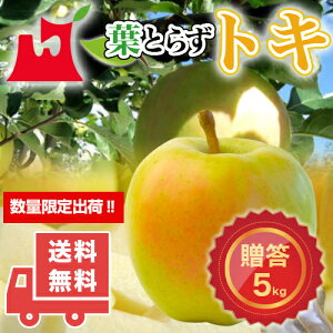 XY tƂ炸 gL p 3kg 5kg MtgɍœK Yn 󏭕i ʌ  S ь tƂ炸 X X  ʕ t[c