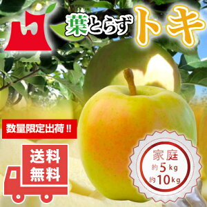XY tƂ炸 gL ƒp 5kg 10kg lC̖󂠂i Yn 󏭕i ʌ  S ь tƂ炸 X  ʕ t[c