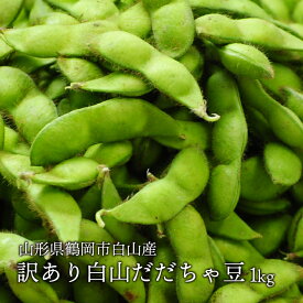 【抽選で100%ポイントバック】送料無料 訳あり 白山 だだちゃ豆 約1kg 枝豆 えだまめ 豆同梱不可 配達日指定不可 産地直送
