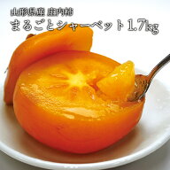 送料無料 冷凍 庄内柿 約1.7kg 山形県産 庄内柿 柿 フルーツ