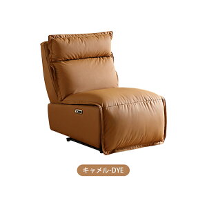 ���N���C�j���O�\�t�@�[ �d�� �蓮 1�l�|�� �\�t�@ �\�t�@�[ USB �d�����N���C�j���O�\�t�@�[ 1�l�|���\�t�@ �d���\�t�@�[ ��83cm 1�l�p �p�[�\�i���`�F�A�[ ���N���C�j���O�`�F�A ��l�p���N