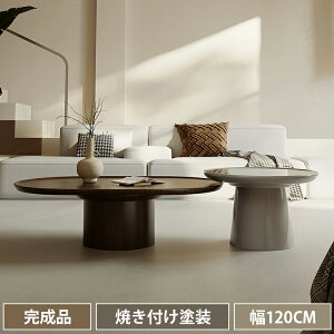 Z^[e[u  [e[u 120cm rOe[u lXge[u TChe[u e[u R[q[e[u ۃe[u ȉ~` ݑ qp ی^  RpNg Vv 