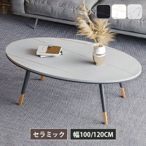 Z^[e[u 100cm Z~bN [e[u 120m e[u lXge[u rOe[u Z~bNe[u  zCg ubN ȉ~` RpNg Yf| Ɩp ItBX 