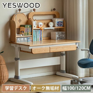 fXN ؐ փfXN ֊ ׋ p\RfXN wKfXN ot [ 120cm p\RfXN 100cm I[N L e[N ݑΖ i` s67cm VR C V