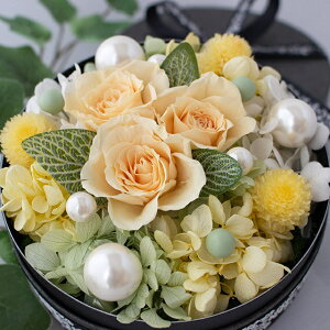 hV̓ P Ď  vU[uht[ {bNX {bNXt[ F Mtg t[{bNX {bNXMtg  a v[g ސEj j ̓ j  t