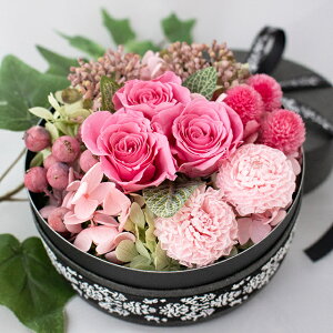 ̓ vU[uht[ ސEj wj ʉ {bNX {bNXt[ sN t[{bNX {bNXMtg  a v[g j j j j  t