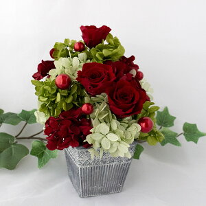 hV̓ ʉ vU[uht[ ސEj yP[Xz  Cbh AWg v[g Mtg a j Vz   t[AWg ސE j 