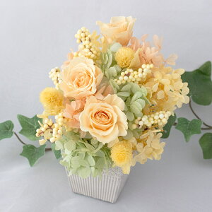 hV̓ vU[uht[ AWg yP[Xz CG[ F v[g Mtg a j Vz j t[AWg j uC_ LO җj