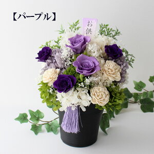 yP[Xz vU[uht[ ފ   d dp   sN  uU[uht[ 䕧O   @v 䋟 d  @ 䋟 ʎ 