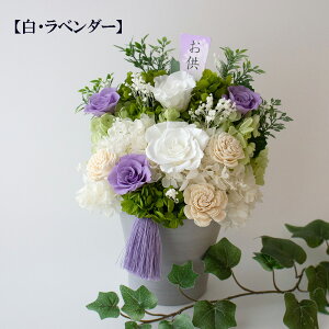 yP[Xz vU[uht[ ފ   d dp   sN  uU[uht[ 䕧O   @v 䋟 d  @ 䋟 ʎ 