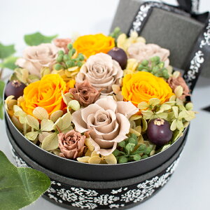 ̓ vU[uht[ IW Mtg {bNXt[ t[Mtg t[{bNX {bNXMtg {bNXAWg ͂Ȃ ی^ i GKg a 